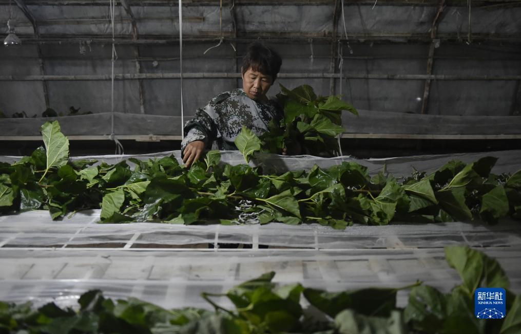 开心游戏官网